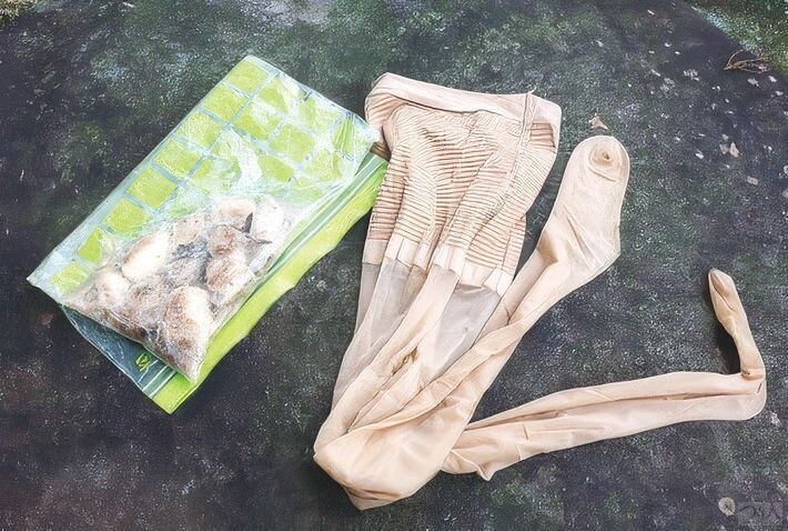採集場所までは密封袋に入れて持って行き、ストッキングなどに入れてカブトのいそうな林の木に仕掛ける