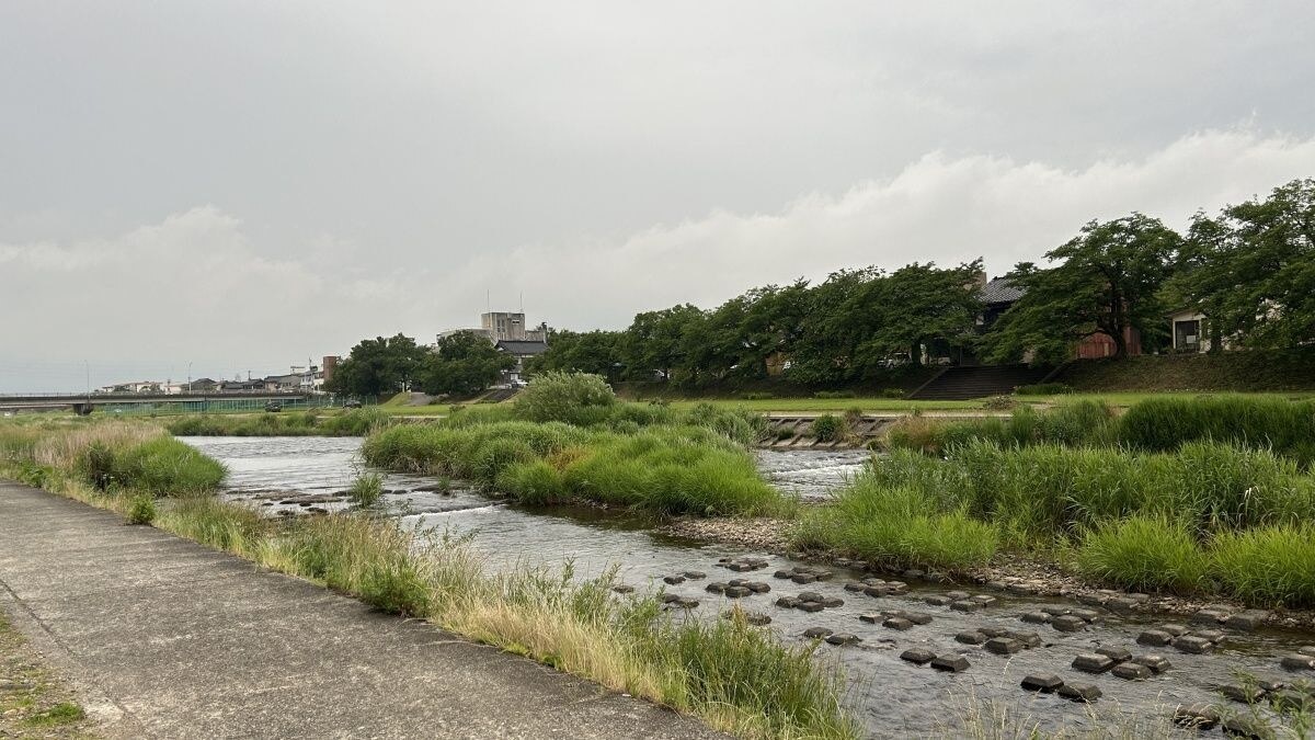 田圃からの戻り水が多く水温が高いことからアユの育ちが早い小矢部川。街中も流れる小規模河川で水深も浅い場所が多いため、アユルアーにうってつけ