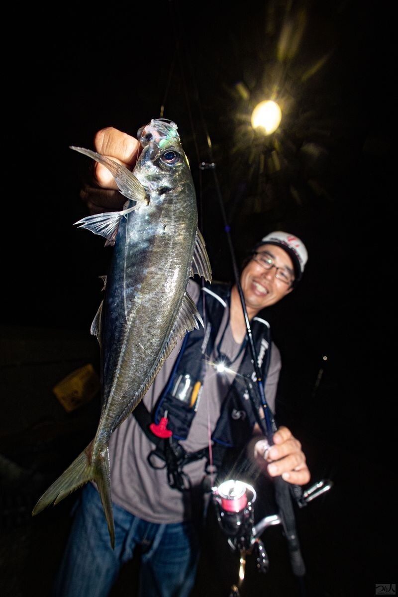 オカッパリからいいサイズのアジが釣れるのは年々難しくなってきたところでバチコンの流行が始まったのは必然な気もします