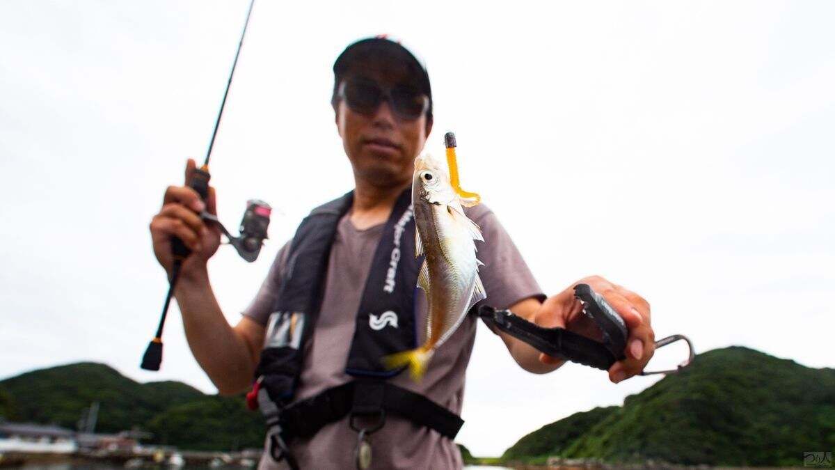日中の豆アジングにも癒されます