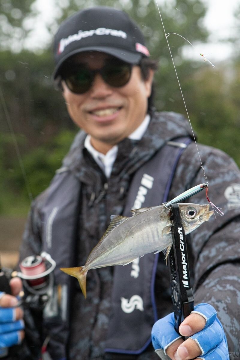これからはジグサビキが来ますよ！って言い続けて早十年以上（笑）