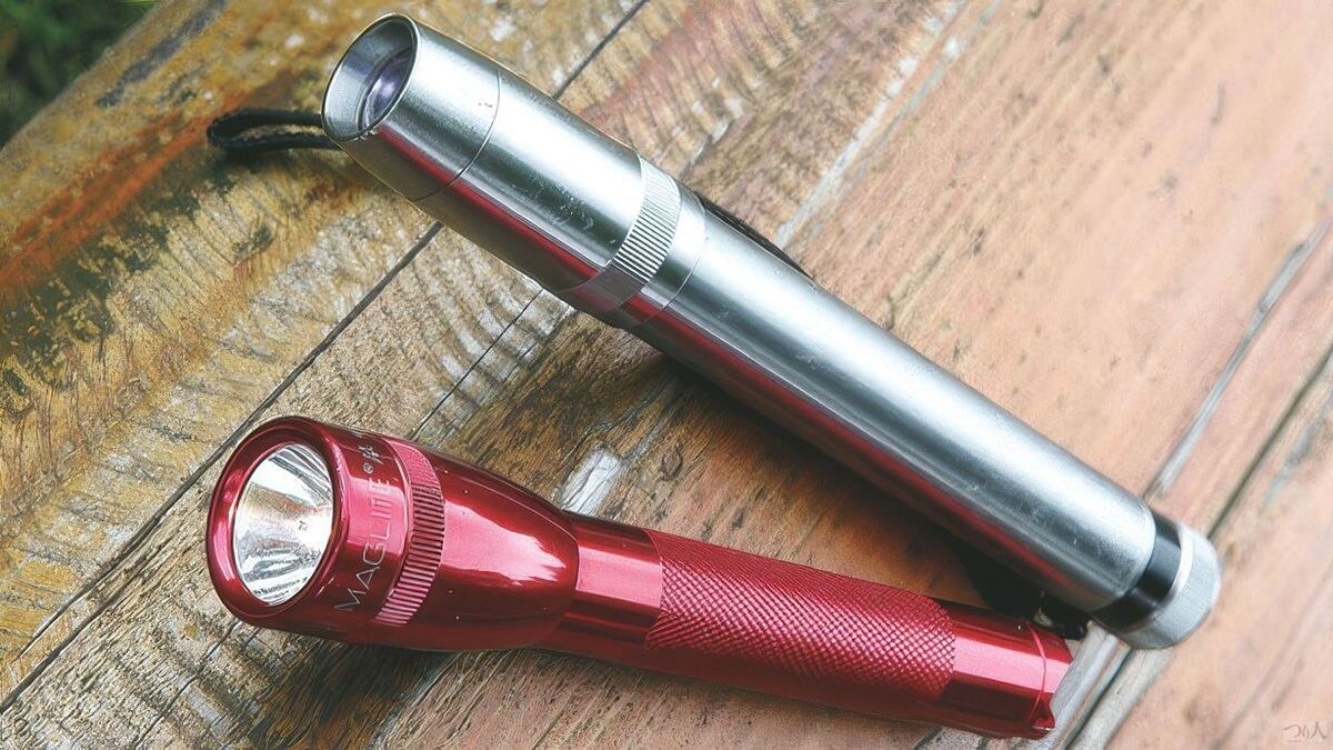 懐中電灯は夜の採集はもちろん、昼間も木の皮の隙間をのぞいたりするのに必要となる