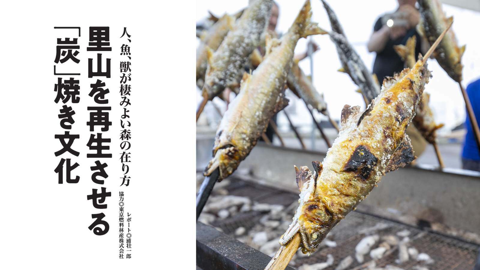 里山を再生させる 「炭」焼き文化│人、魚、獣が棲みよい森の在り方