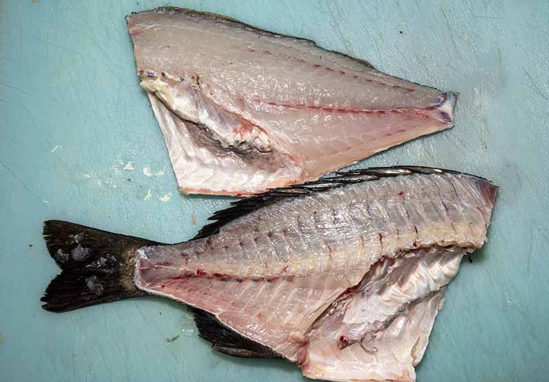 クロダイの捌き方 手順14：二枚下ろしの完成