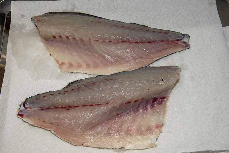クロダイの捌き方 手順16：反対側も9～15と同じ要領でさばく