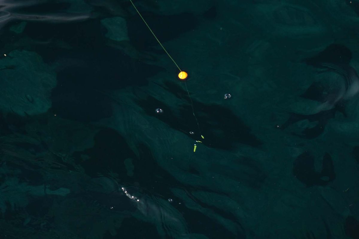 海面に浮かぶウキと目印