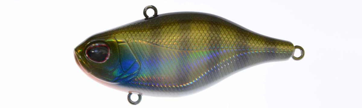 flash-bluegill