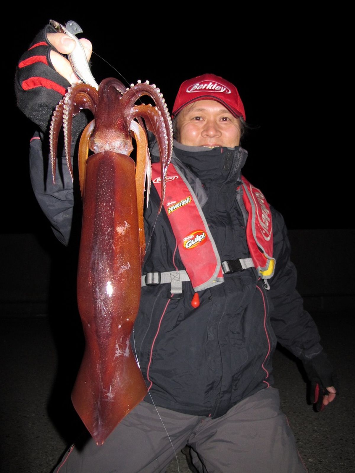 スルメイカ釣り 三重県・尾鷲港