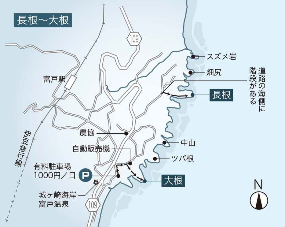 115-123_omomatsu-izu_cs3 (27)