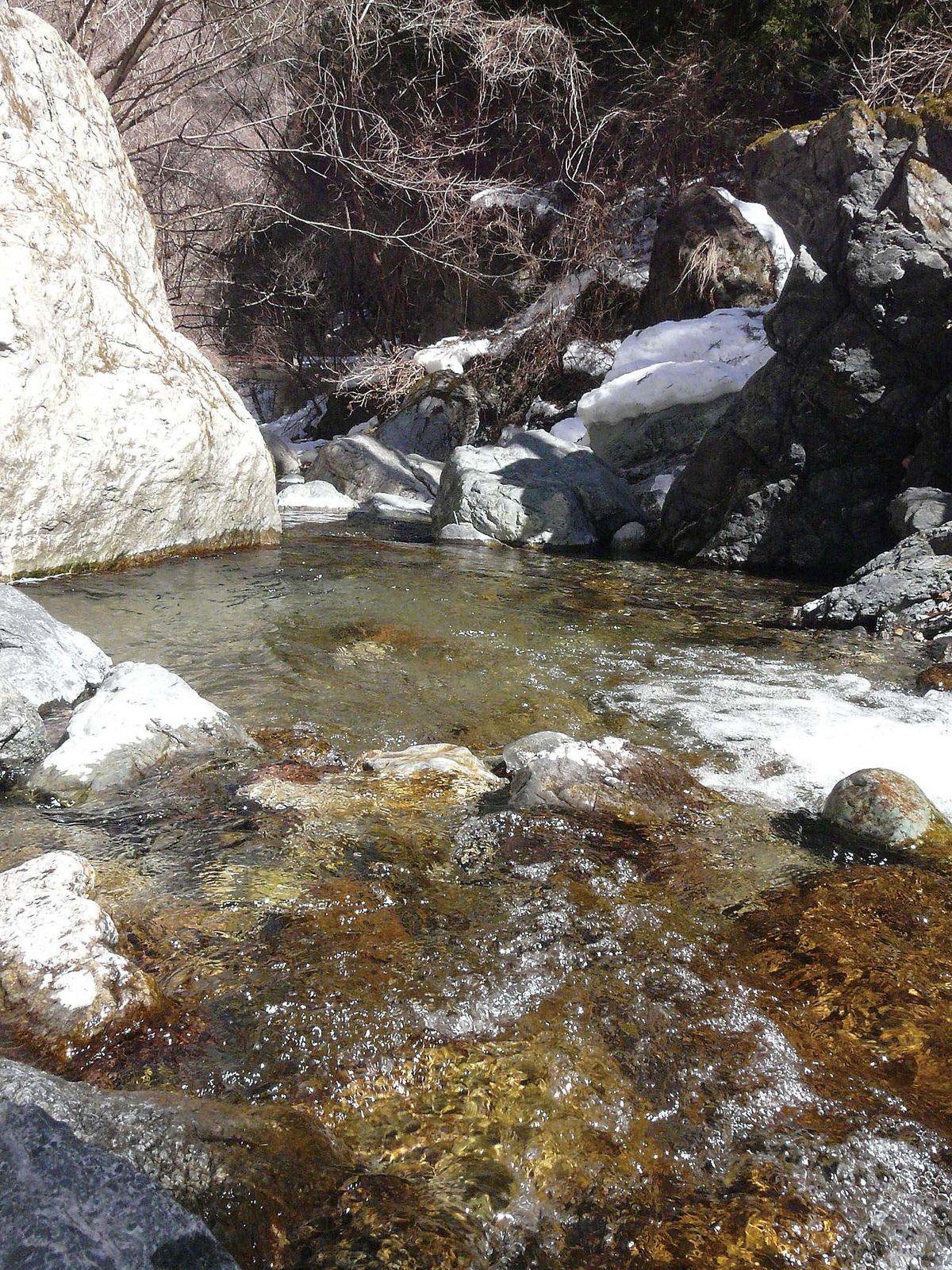 028-036dantou-keiryu_cs6 (16)_1