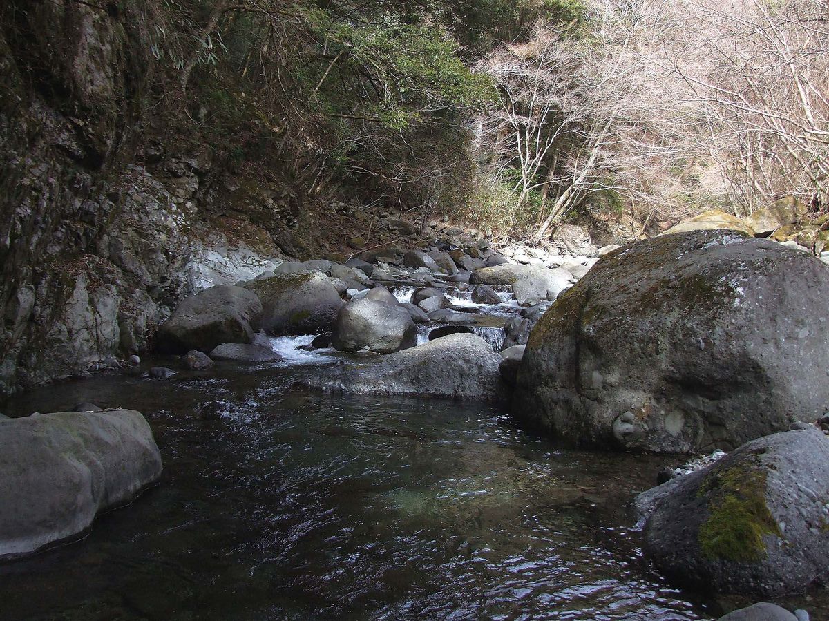 アマゴ・イワナ釣り 静岡県・山梨県・富士川水系