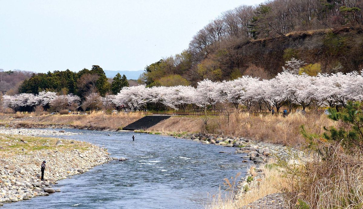  イワナ・ヤマメ釣り 栃木県・那珂川水系