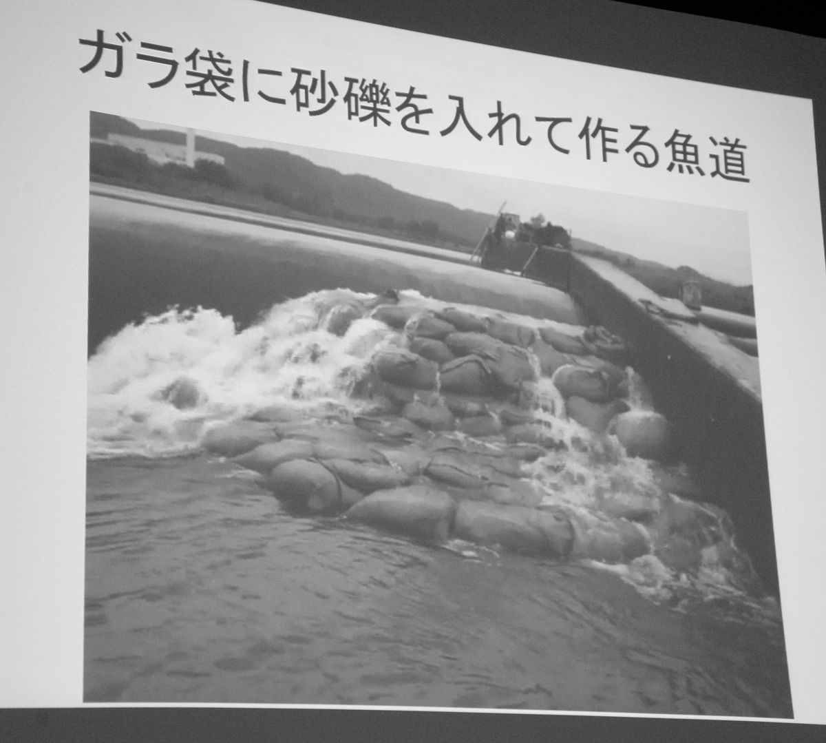 【希少本】技術者のための魚道ガイドライン 魚道構造と周辺の流れからわかること 技術者のための 魚道ガイドライン - 魚道構造と周辺の流れから