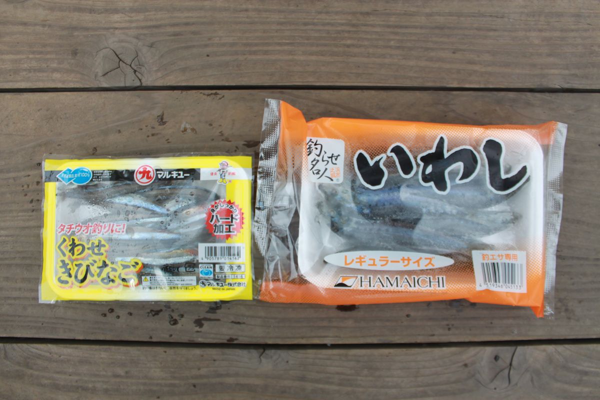 【海上釣り堀入門】釣りエサ：イワシ、キビナゴ