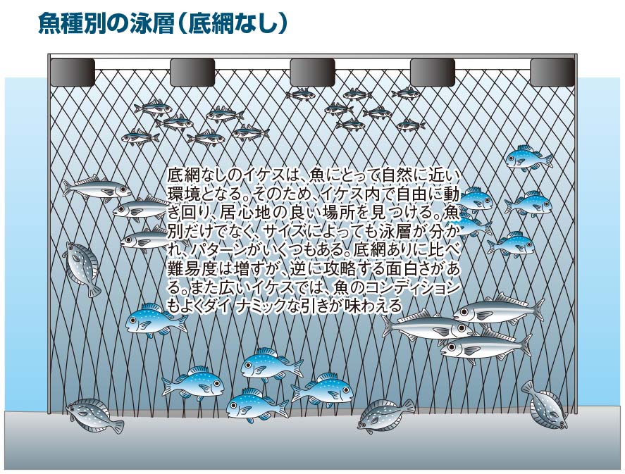【海上釣り堀入門】イラスト：底網無し