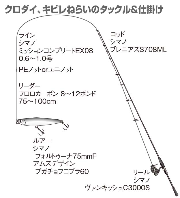 p 085-087-01 1c