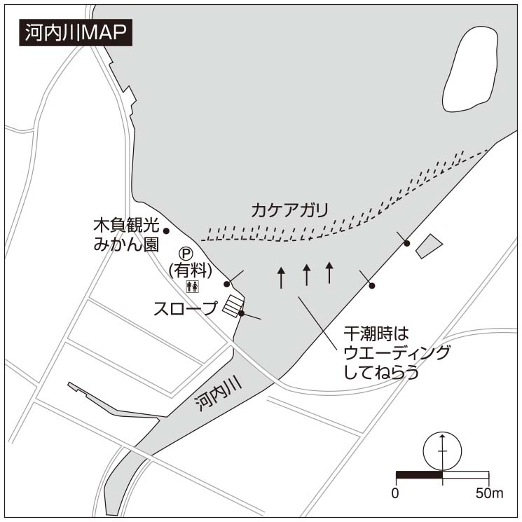 01(out) [更新済み]
