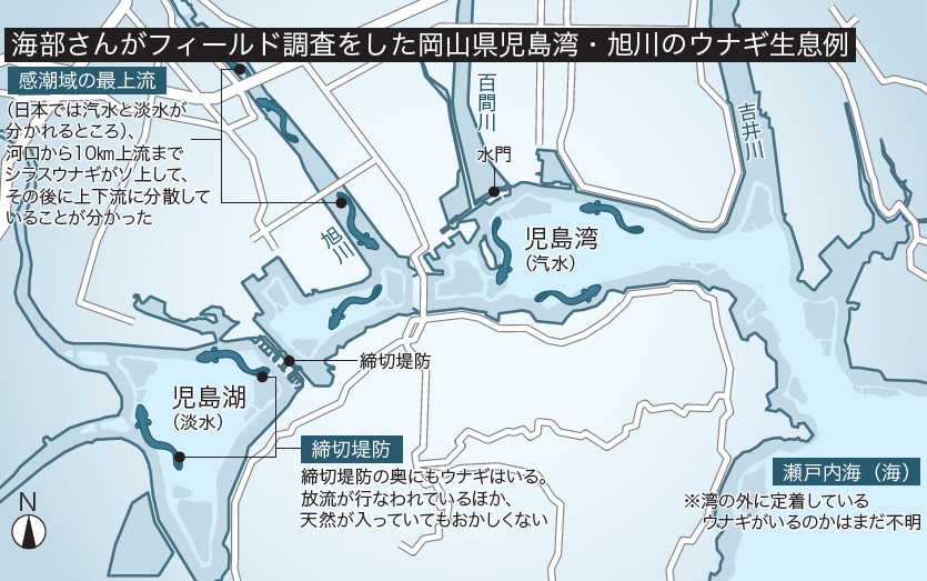 unagi_illust2