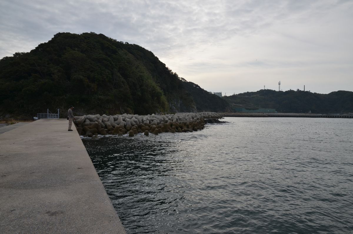 tokai (4)