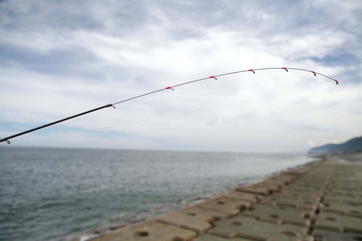 アオリイカ釣り 上越 富山サーフエギングのエッセンス 魚種別釣りガイド