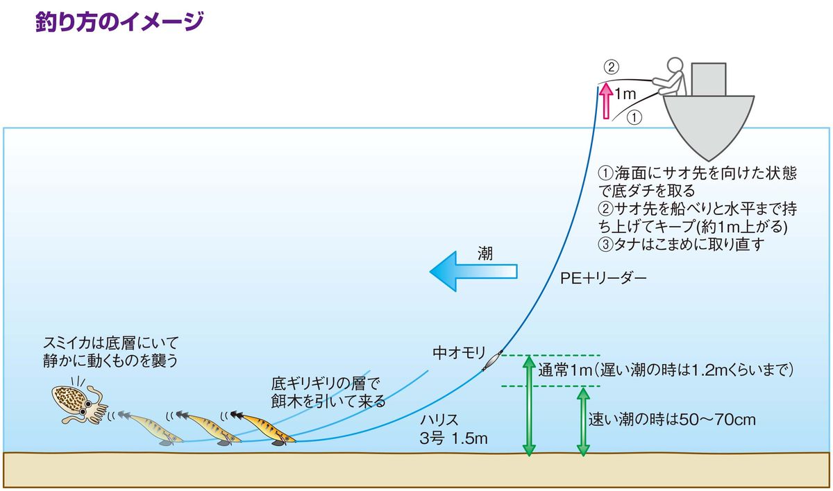 050-053-sumiika-eging_cs6 (1)