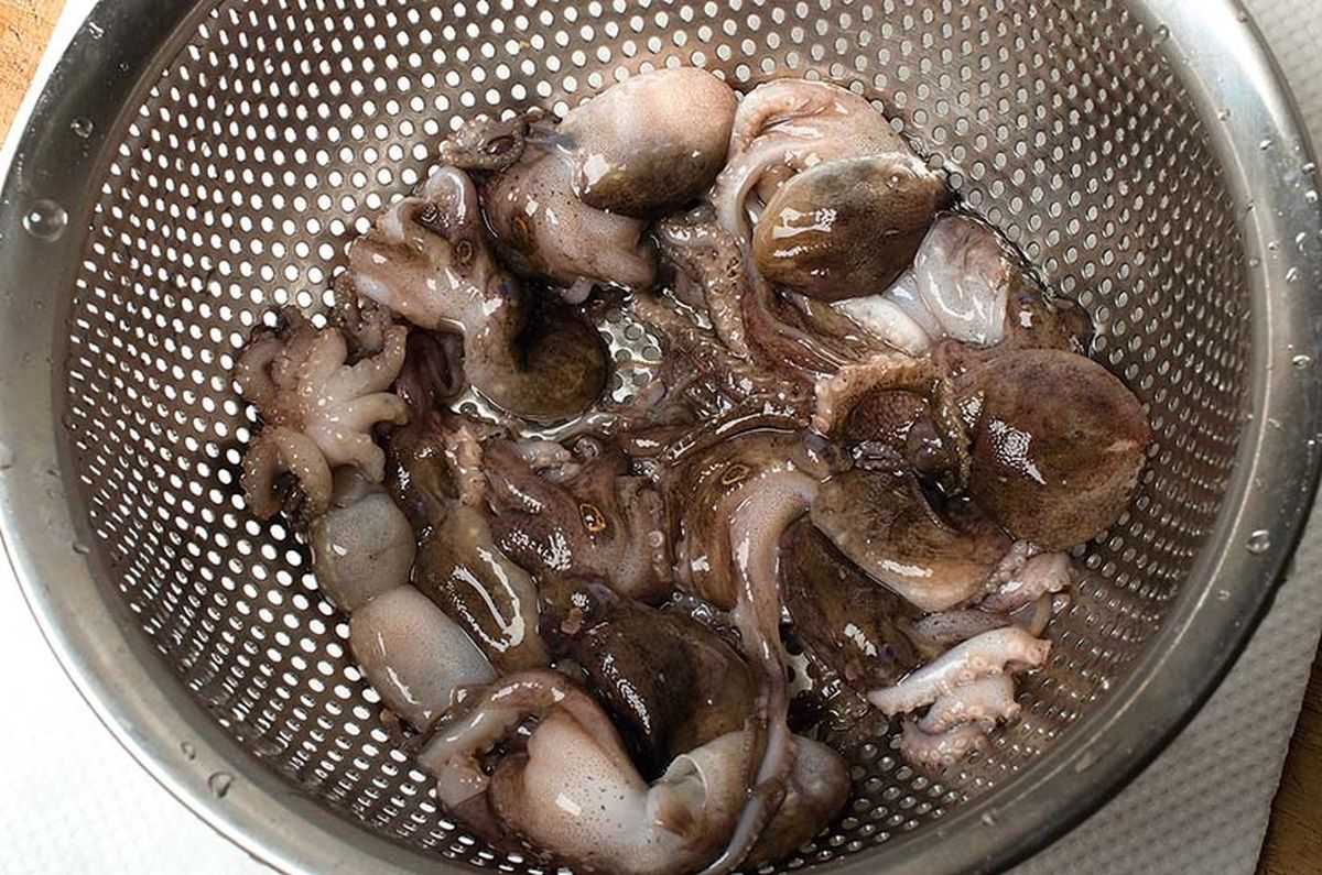 064-069-ika-tako-cooking_cs6 (83)