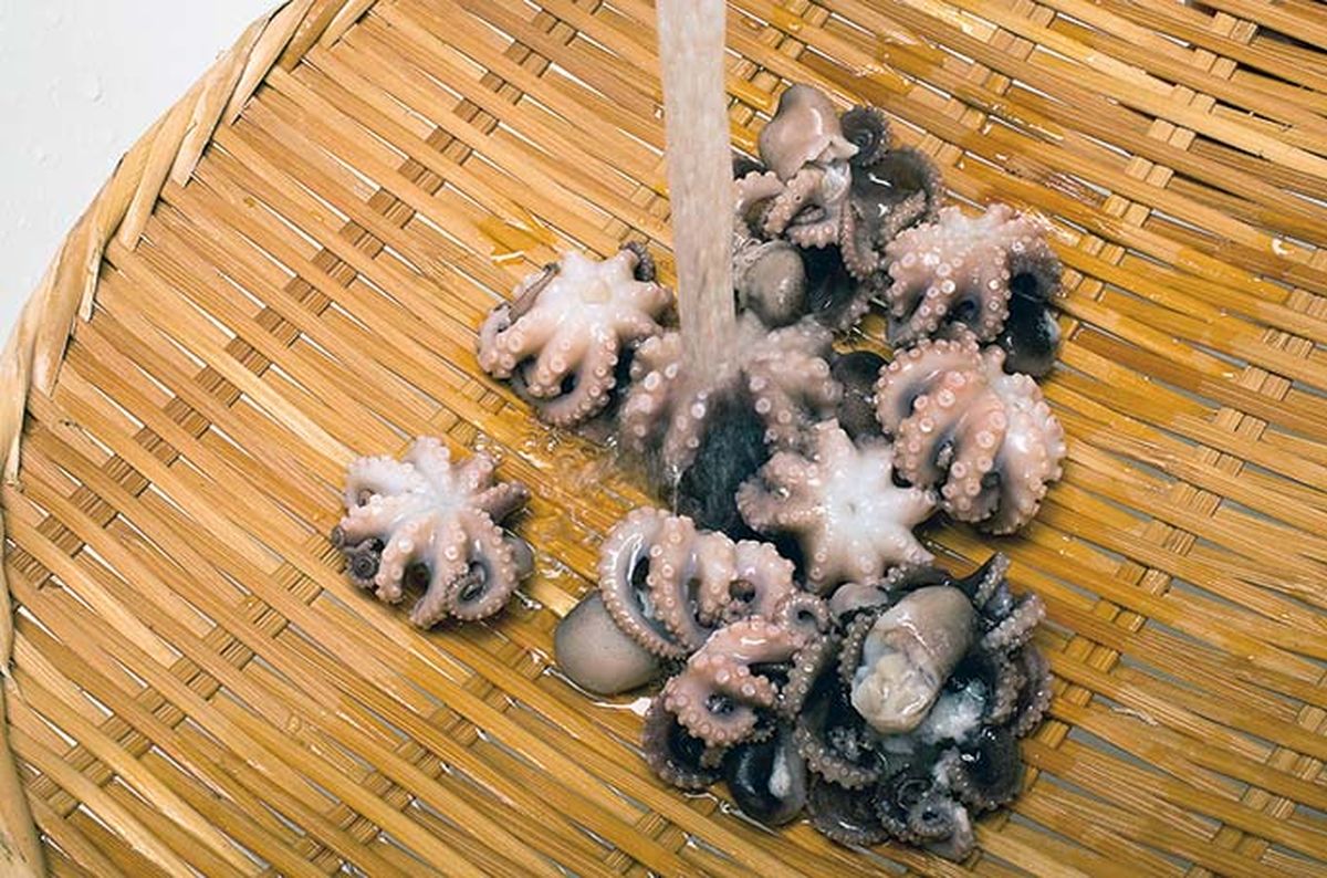 064-069-ika-tako-cooking_cs6 (95)