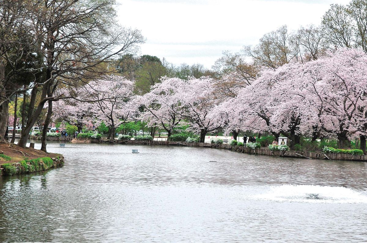 031-035ohanami_tsuriba_cs6 (8)_1