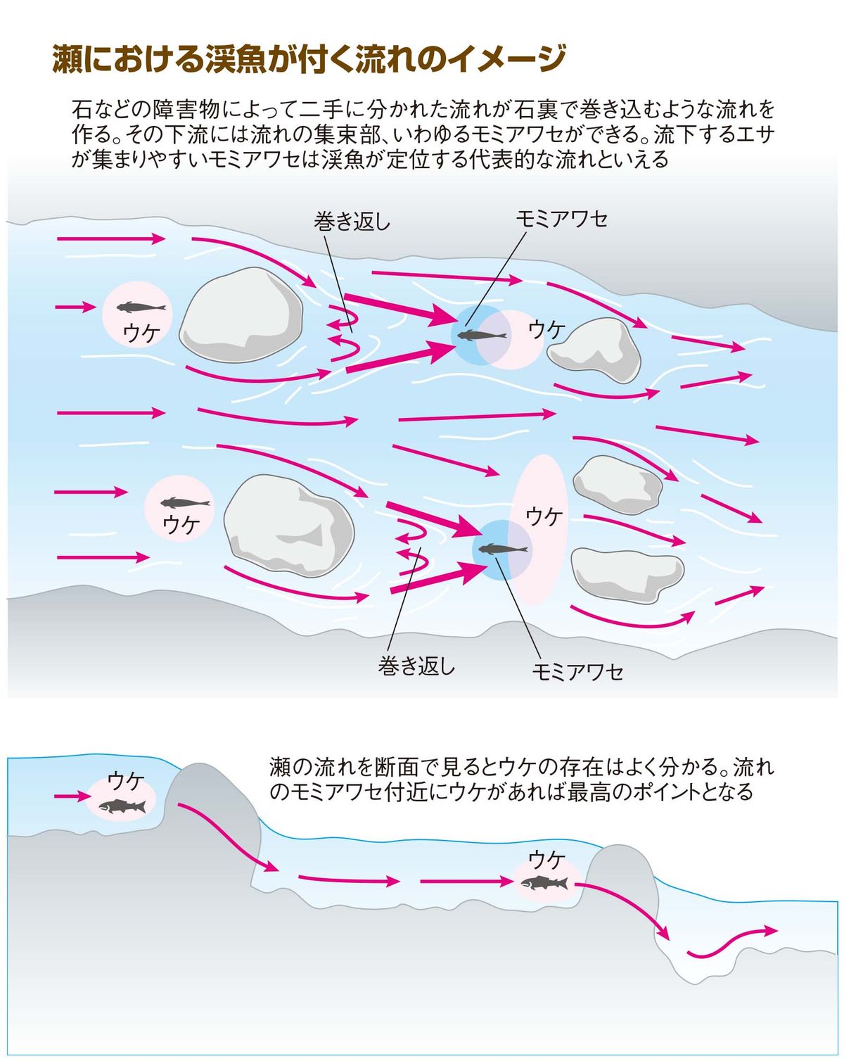 050-055keiryu-nyumon_cs6 (6)