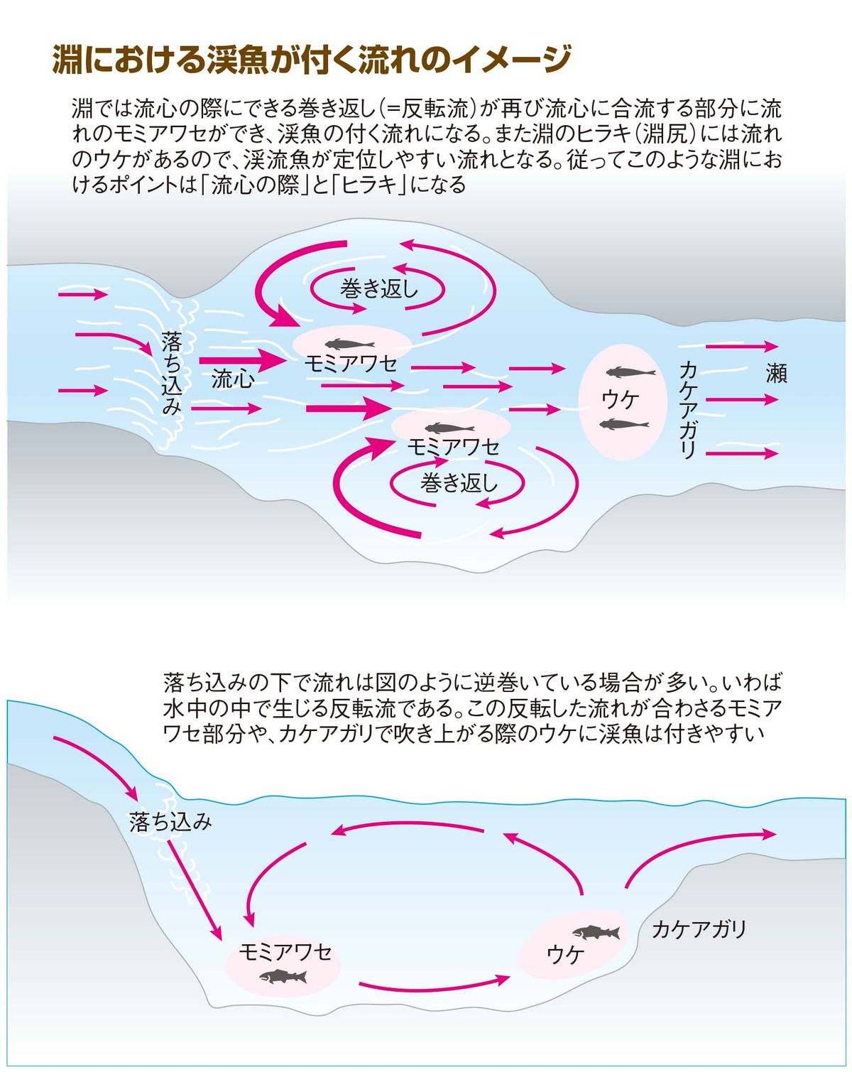 050-055keiryu-nyumon_cs6 (7)
