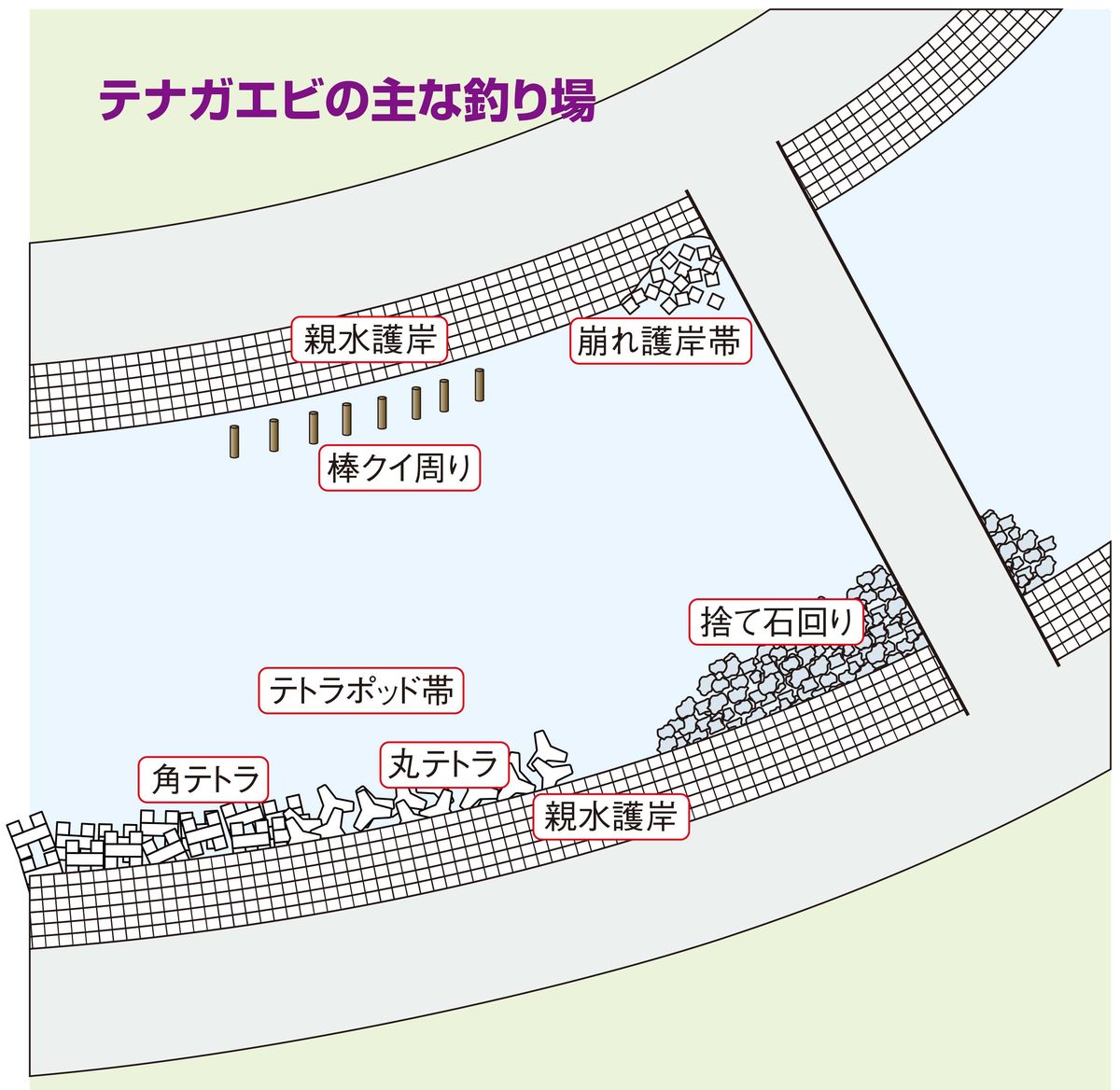 テナガエビのがいるポイント