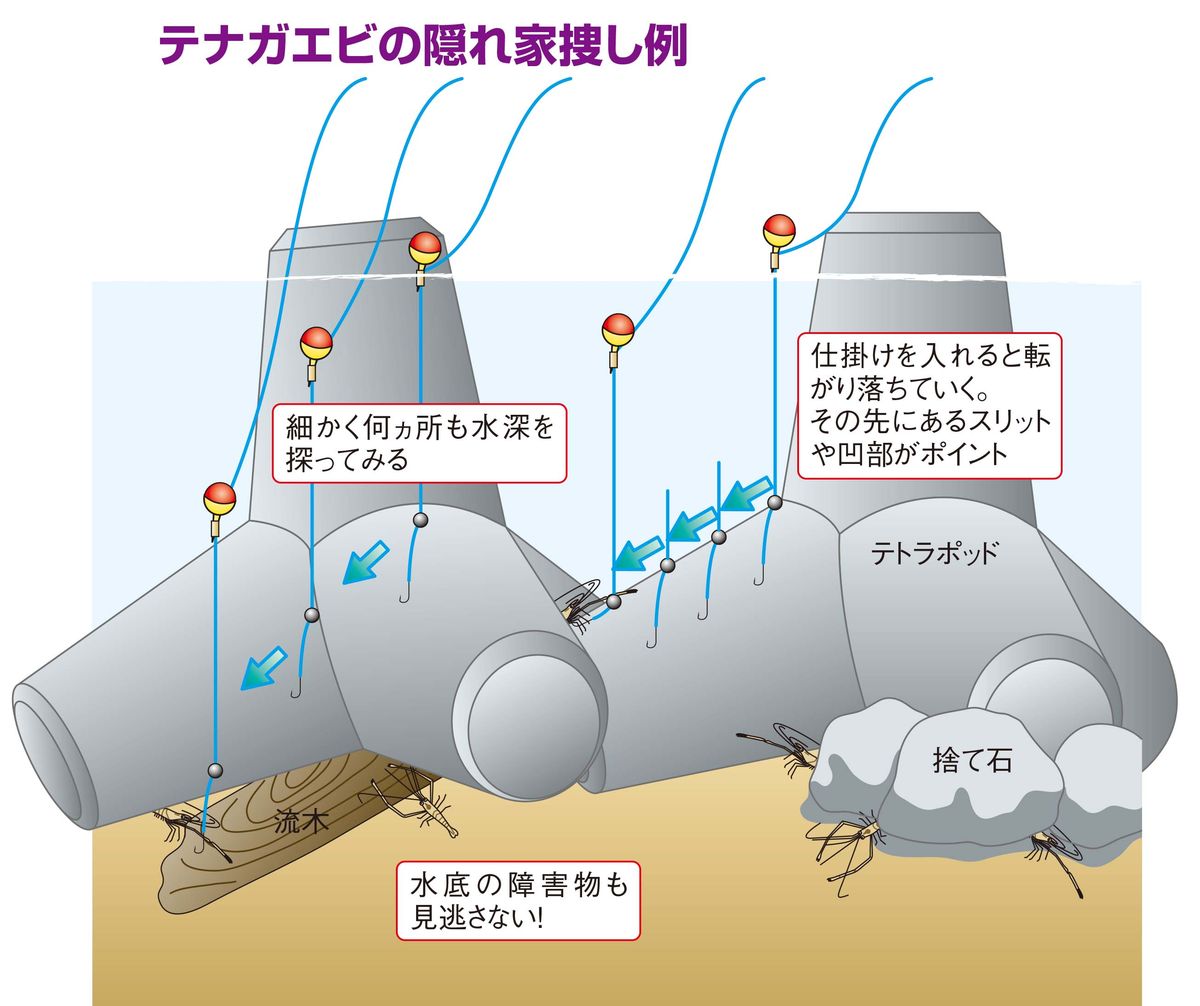 【テナガエビの釣り方】この穴で連続ヒット