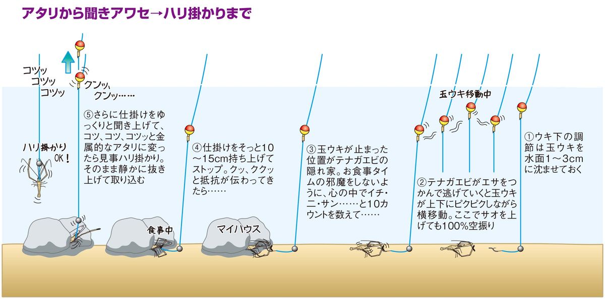 【テナガエビの釣り方イラスト