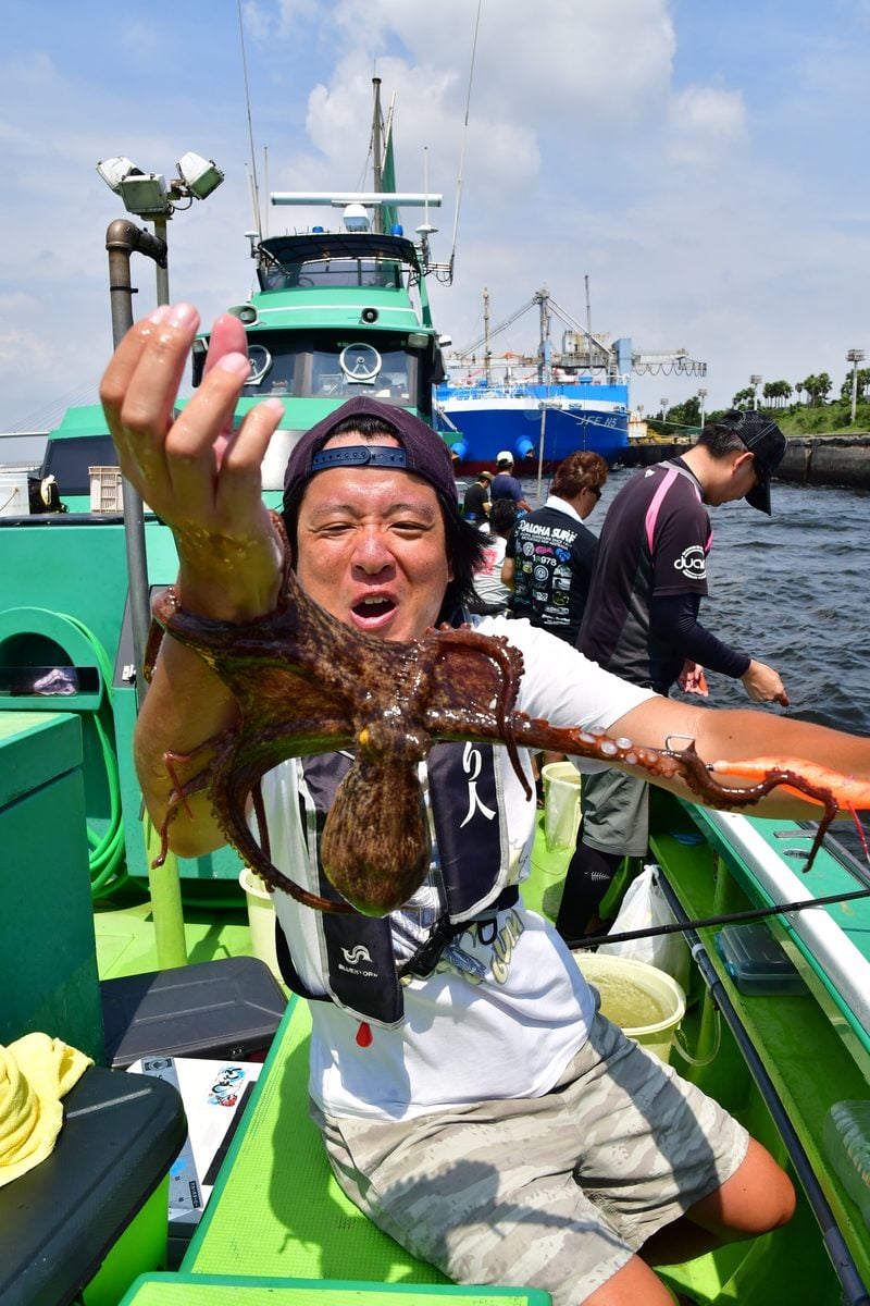 【東京湾の餌木タコ(エギタコ)入門】ちょうど10ハイキャッチ
