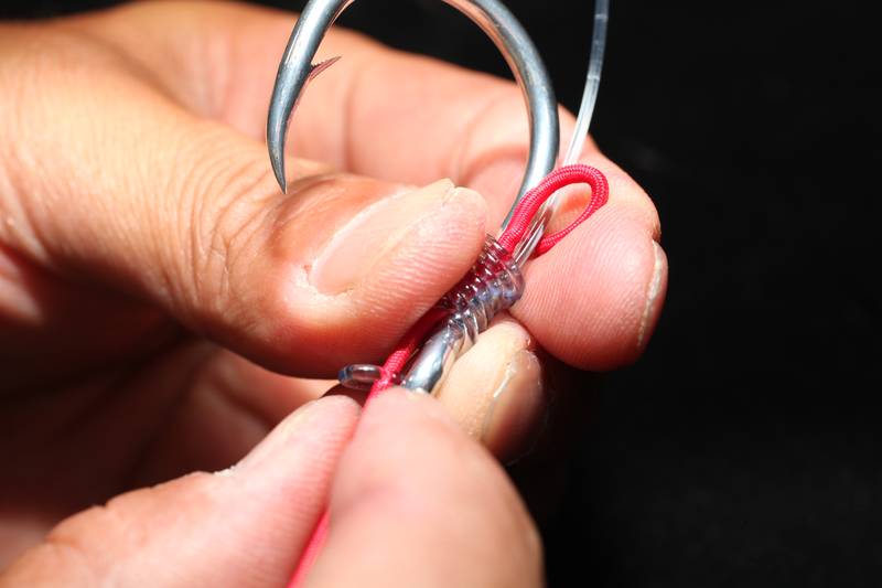 【マグロ釣りの結び方/坂本結び】引っ張って締め込む