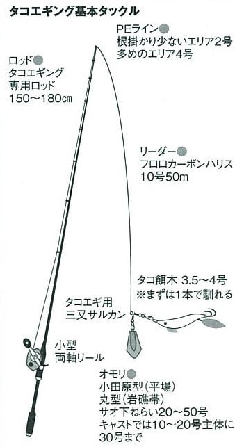 【東京湾の餌木タコ(エギタコ)入門】タコ釣りの仕掛け