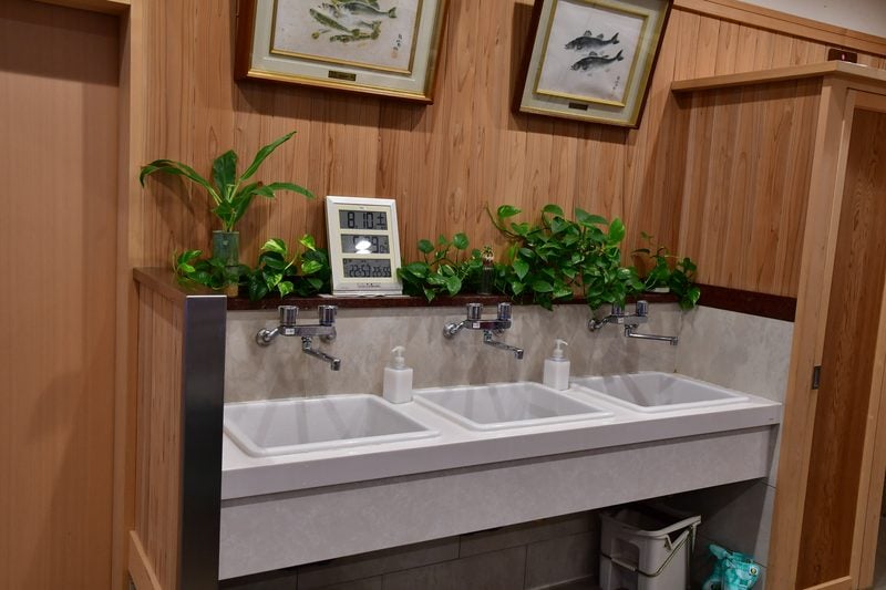【東京湾の餌木タコ(エギタコ)入門】吉野屋はキレイな手洗い完備！