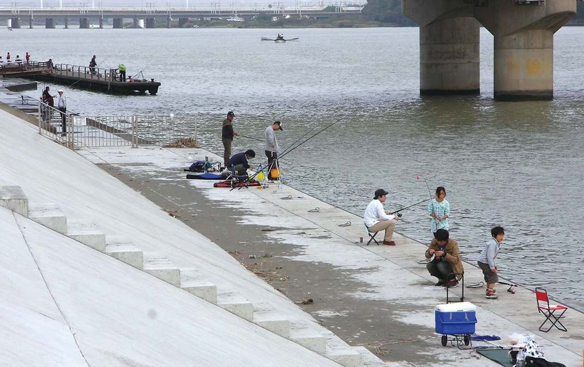 ハゼ釣り 神奈川 相模川河口 全国おすすめ釣り場