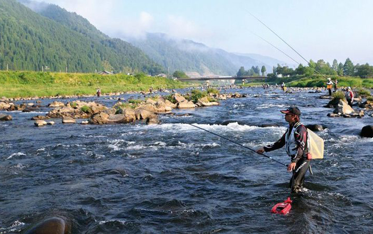 アユ釣りステップアップ 加藤達士さんに学ぶ混雑河川で釣果を伸ばす方法 第1回 魚種別釣りガイド