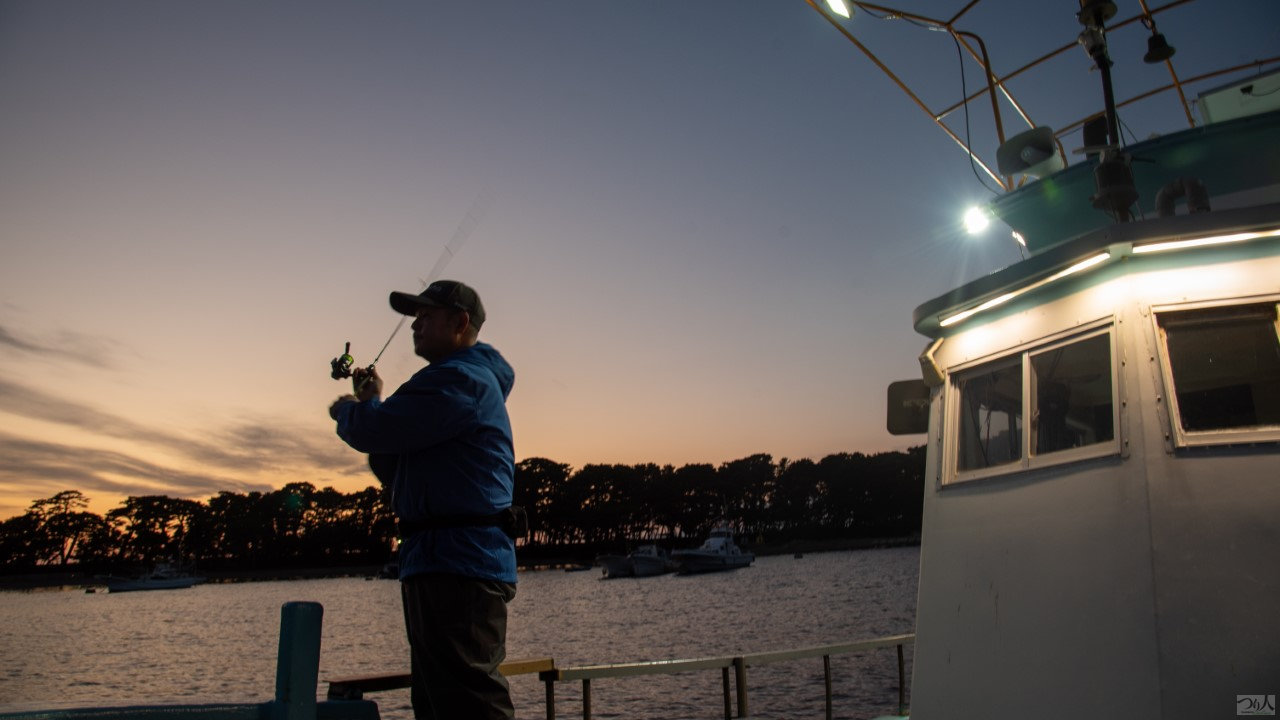 係留船でのアジング