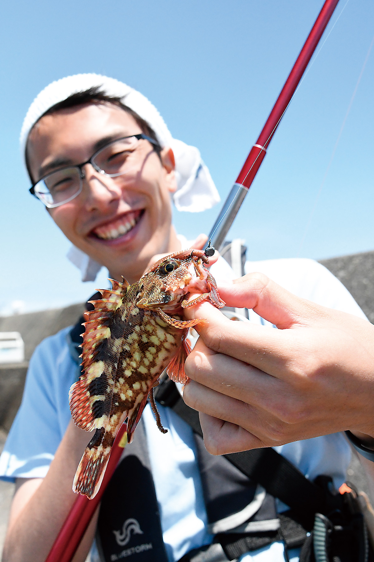アオイソメで釣ったカサゴ