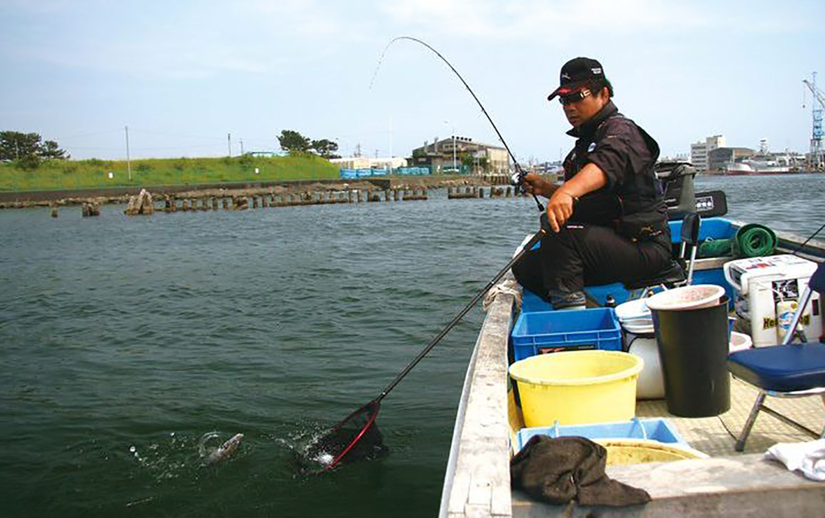 クロダイ（チヌ）釣りスタートガイド／カカリ釣り入門 | 魚種別釣りガイド