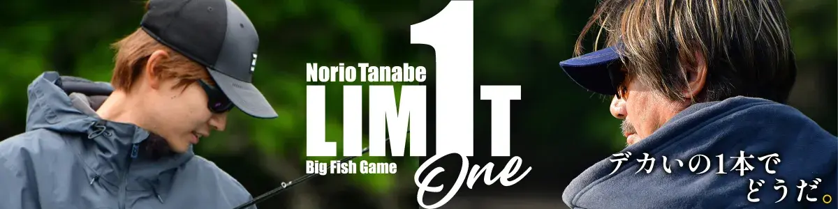 limit1特設ページ