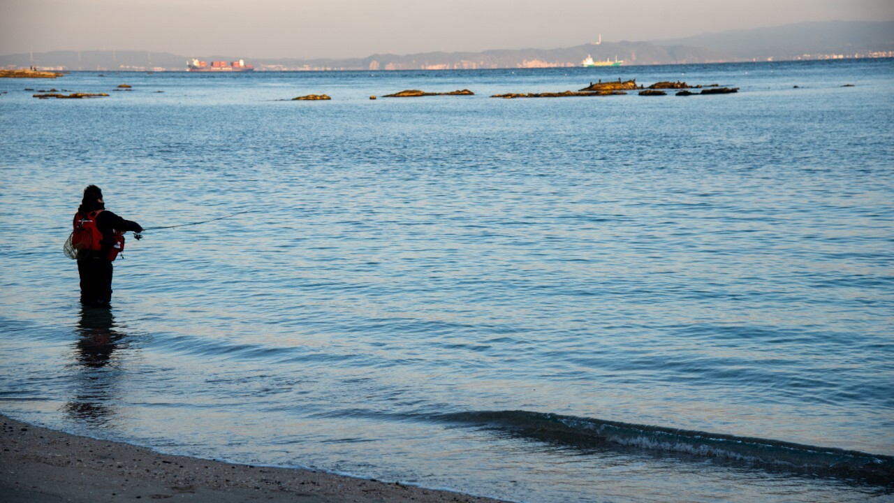 サーフでのメバリング