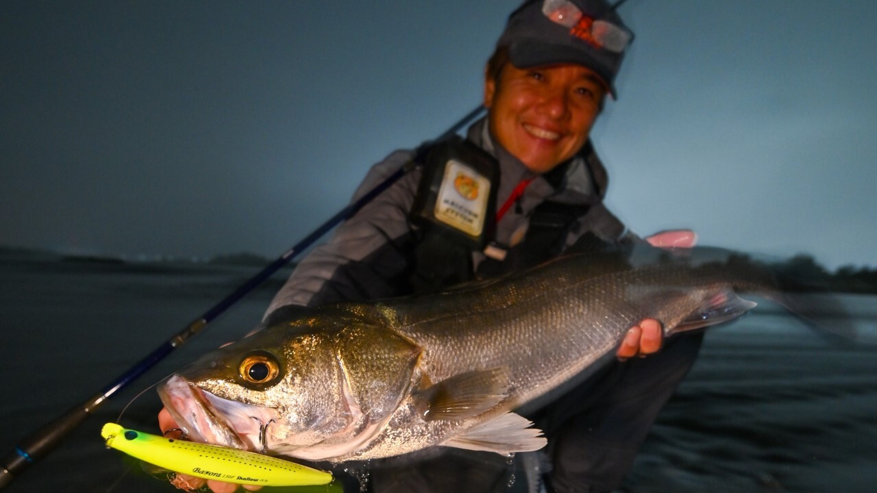 利根川にて落ちアユを意識したシーバスを キャッチ。この日は弱ったアユをほとんど見な かったが、シーバスはしっかり遡上していた