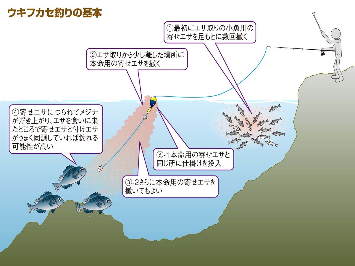 ウキフカセ釣りの基本のイラスト。1 最初にエサ取りの小魚用の寄せエサを足もとに数回撒く、2 エサ取りから少し離した場所に本命用の寄せエサを撒く、3 本命用の寄せエサと同じ所に仕掛けを投入する(さらに寄せエサを撒いてもよい)、4 寄せエサにつられて浮いたメジナに付けエサが同調すれば釣れる