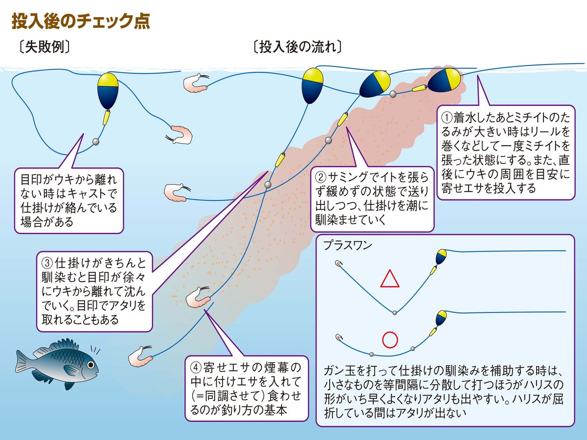投入後のチェック点のイラスト。着水後はミチイトのたるみを取り、ウキの周りに寄せエサを撒く。サミングでイトを張らず緩めず送り出して潮になじませる。なじむと目印がウキから離れて沈み、寄せエサの煙幕の中に付けエサを入れて食わせる。目印がウキから離れない時は仕掛けが絡んでいることがある。ガン玉は小さいものを等間隔に分散して打つ