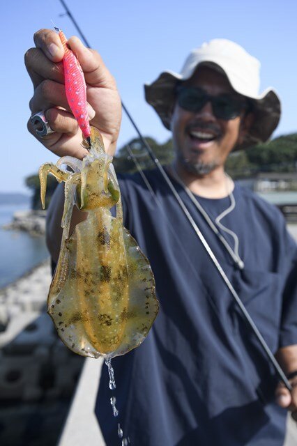 手のひらサイズの秋イカを手にする河野誠さん