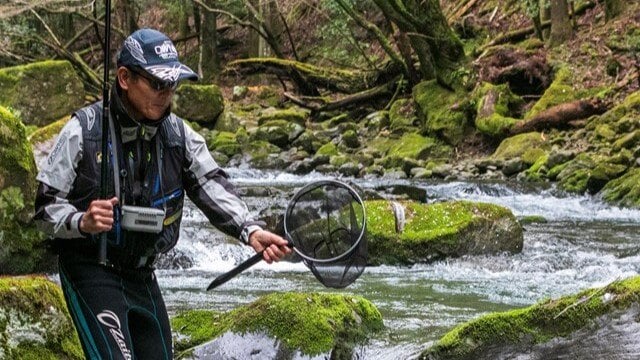 ブドウムシでねらう天城の谷のアマゴ旅