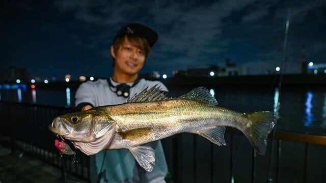 アバニシーバスマックスパワーPEの使い方│東京湾奥／旧江戸川・中川　